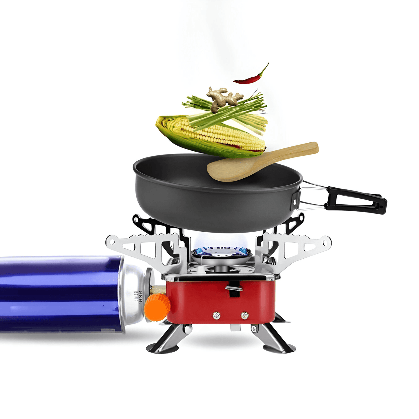 Portable gas stove