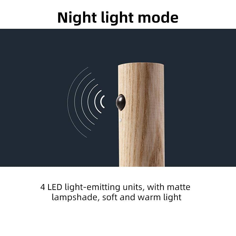 Corridor Wall Induction lamp