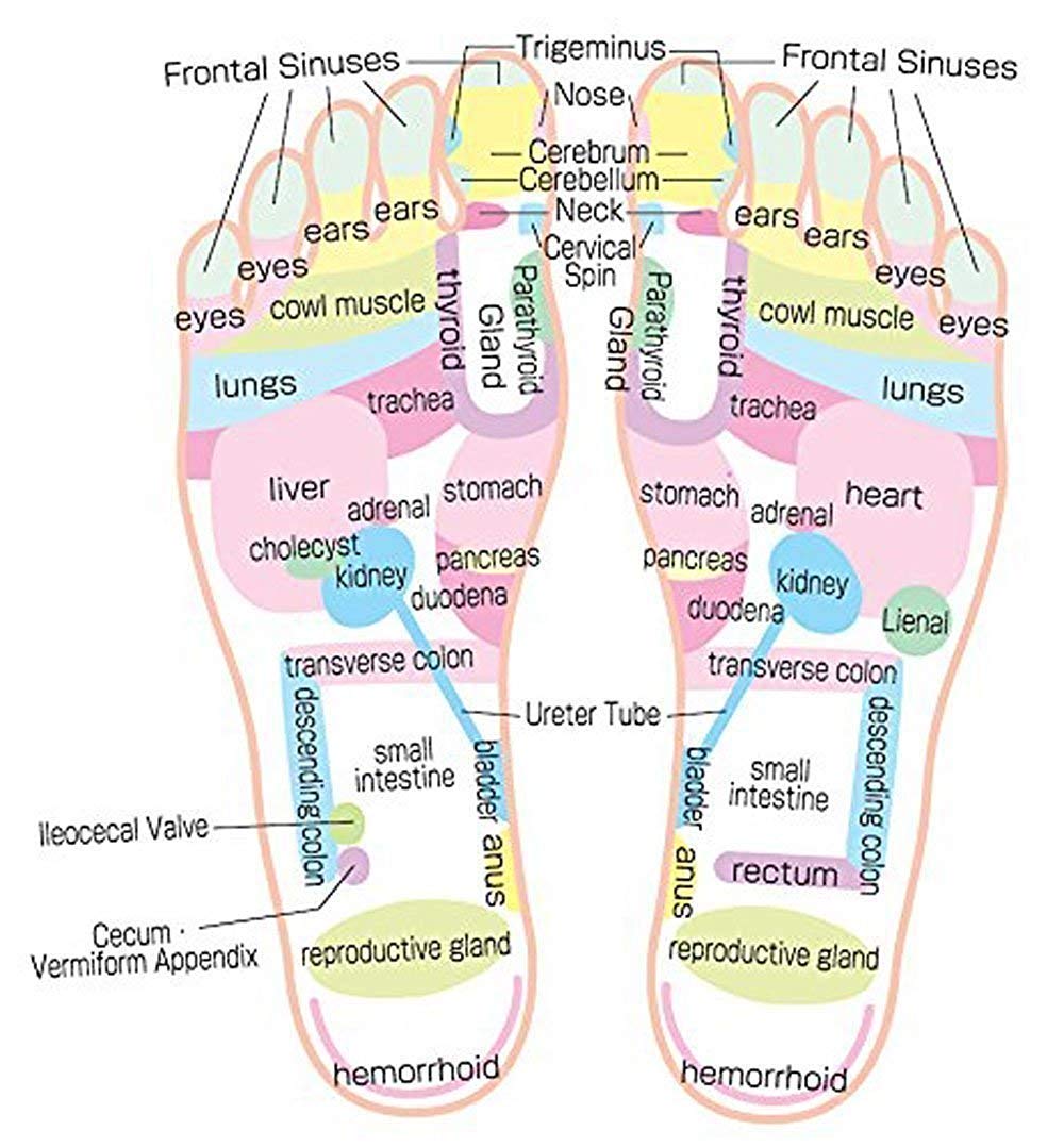 Acupressure Foot Relaxer Massager Slipper With 3 Pair Socks