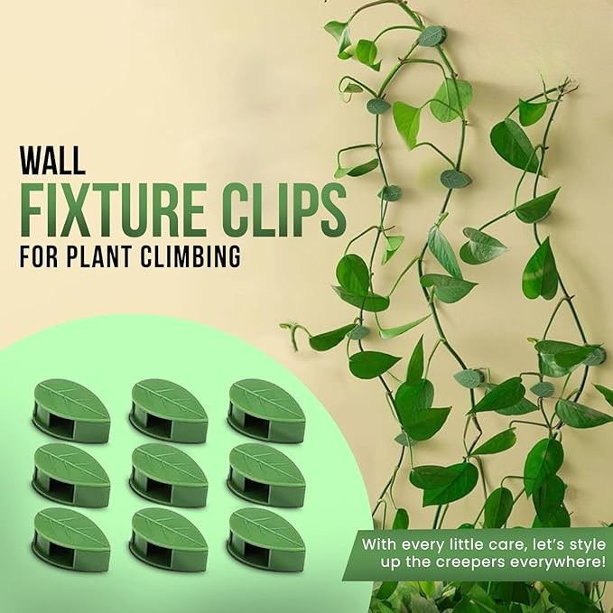 ����Plant Climbing Wall Fixture Clips || Plant Support Clips���� BUY 30 & GET 30 FREE || 60 PCS