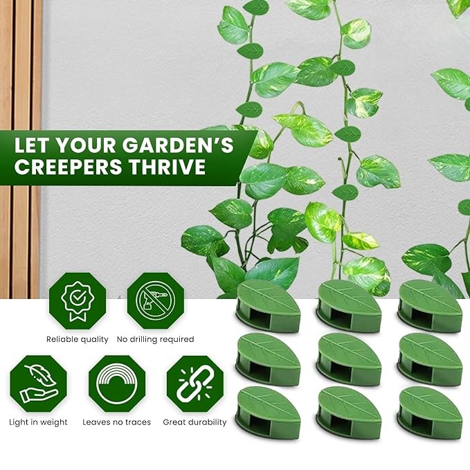 ����Plant Climbing Wall Fixture Clips || Plant Support Clips���� BUY 30 & GET 30 FREE || 60 PCS