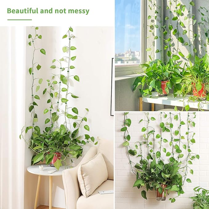 ����Plant Climbing Wall Fixture Clips || Plant Support Clips���� BUY 30 & GET 30 FREE || 60 PCS