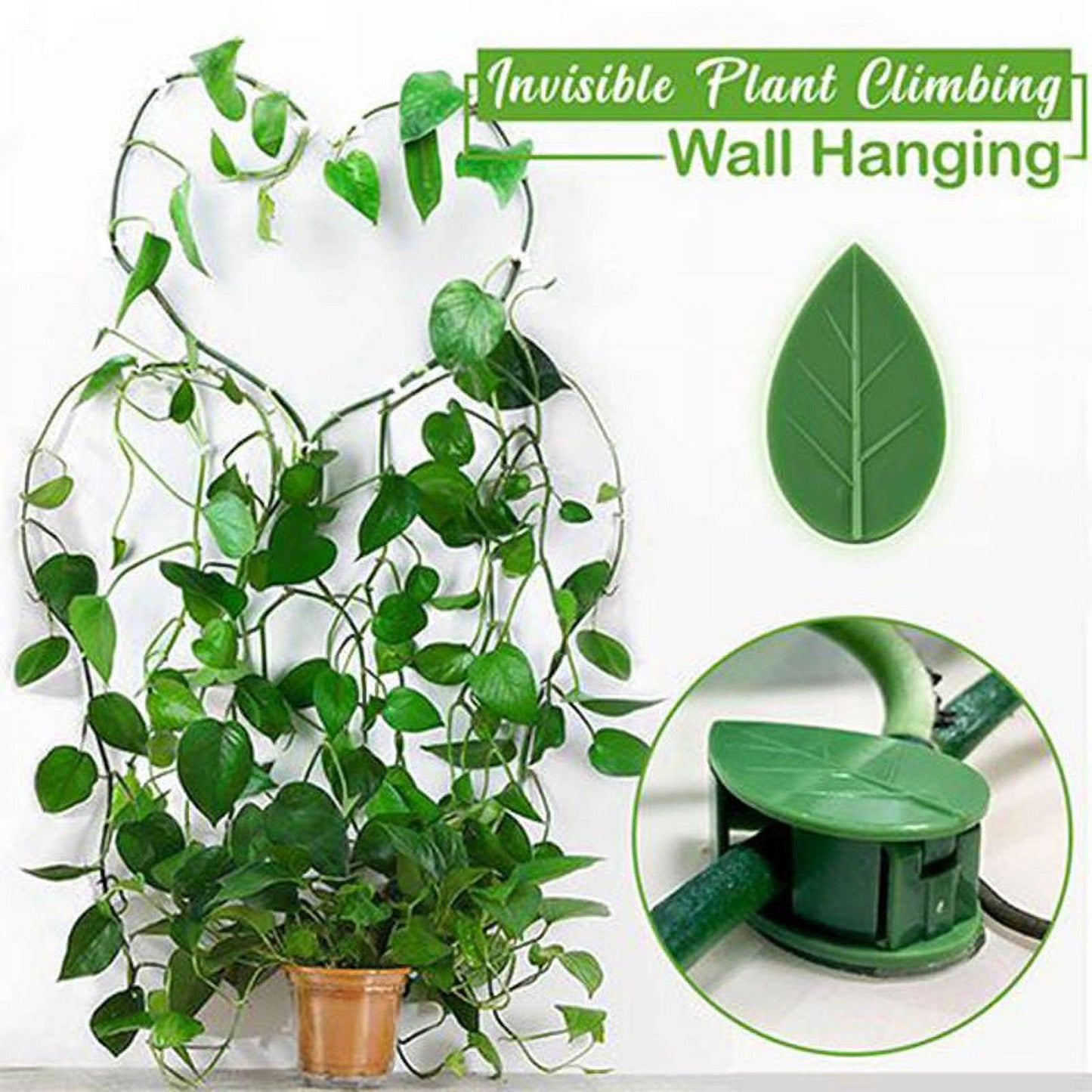 ����Plant Climbing Wall Fixture Clips || Plant Support Clips���� BUY 30 & GET 30 FREE || 60 PCS