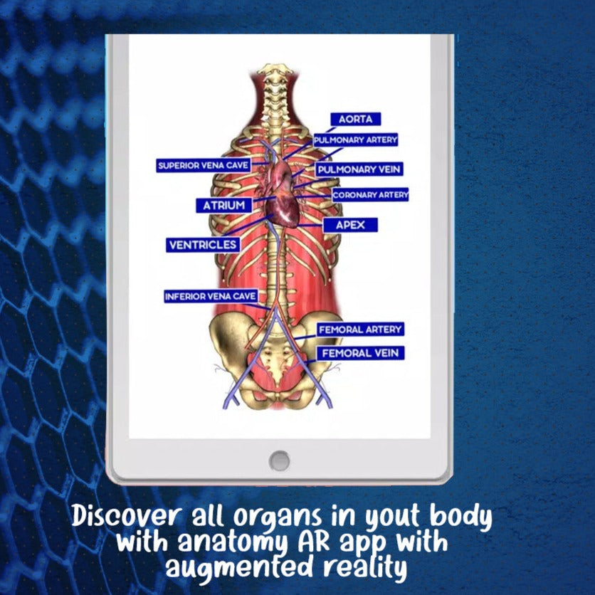 ���Educational Anatomy AR 4D -Virtual T-Shirt