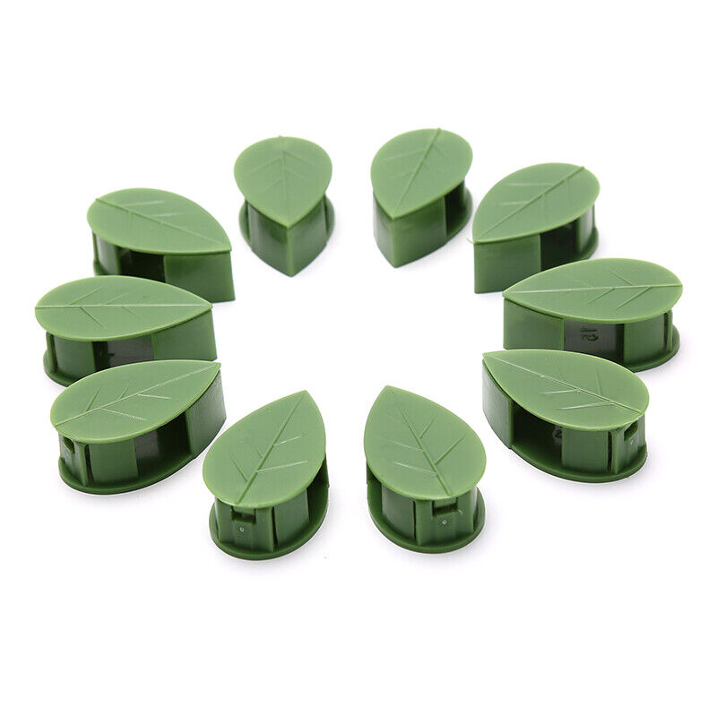 ����Plant Climbing Wall Fixture Clips || Plant Support Clips���� BUY 30 & GET 30 FREE || 60 PCS