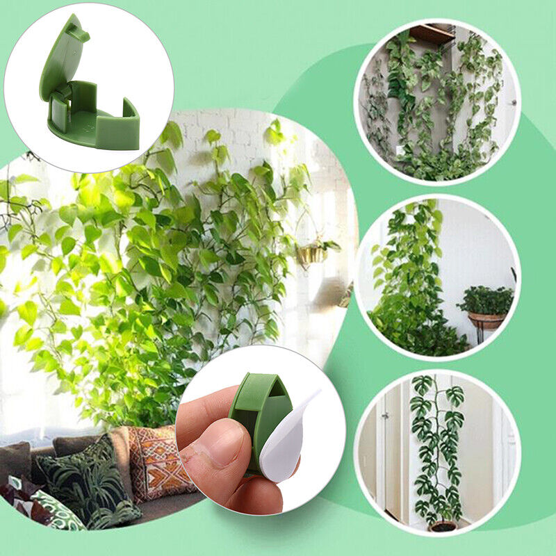 ����Plant Climbing Wall Fixture Clips || Plant Support Clips���� BUY 30 & GET 30 FREE || 60 PCS